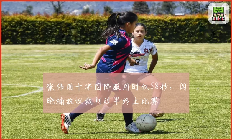 张伟丽十字固降服用时仅58秒,闫晓楠抗议裁判过早终止比赛