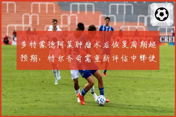 多特蒙德阿莱肿瘤术后恢复周期超预期，特尔齐奇需重新评估中锋使用计划
